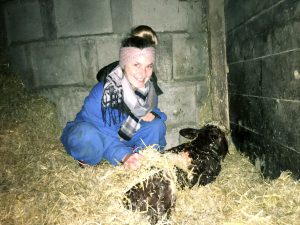 Julia bei der Geburt eines kleinen Kälbchens am Mauracherhof