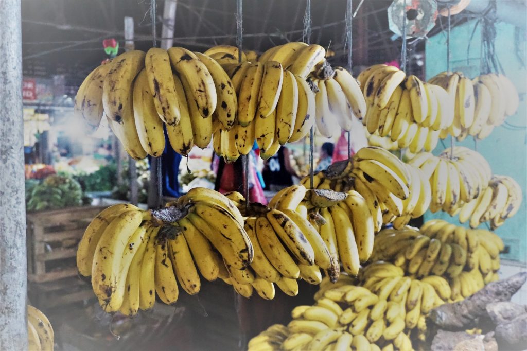 Reife Bananen am Marktstand auf Bohol