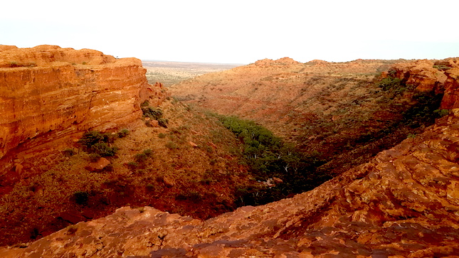 Morgenstimmung im Kings Canyon