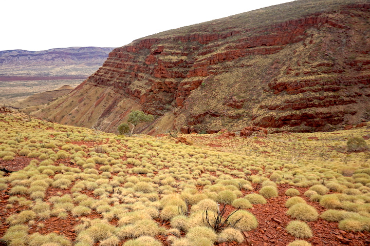 Australische Landschaft im Karijini Nationalpark